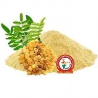 Boswellia Dry extract