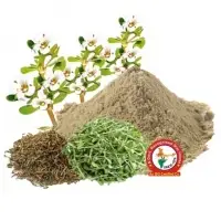 Brahmi Dry Extract