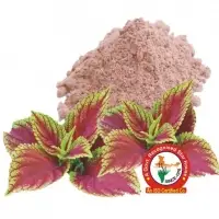 Coleus Dry Extract