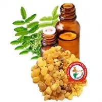 Frankincense Oil