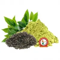 Green Tea Dry Extract