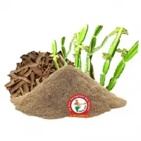 Hadjod Dry Extract