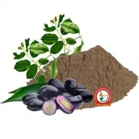 Jamun Dry Extract