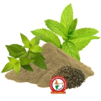 Mentha (Mint) Dry Extract