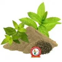 Mentha (Mint) Dry Extract