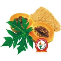 Papaya leaf Dry Extract