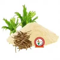 Safed Moosli Dry Extract