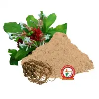 Sarpagangha Dry Extract