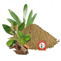 Arjun Dry Extract