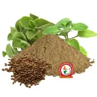 Ajwain Dry Extract