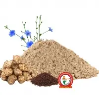 Chicory Extract