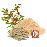 Ashwagandha Dry Extract (Purified)