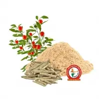 Ashwagandha Dry Extract