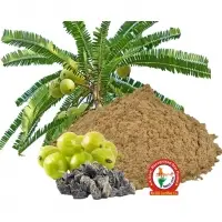 Amla Dry Extract