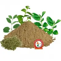 Gymnema Dry Extract