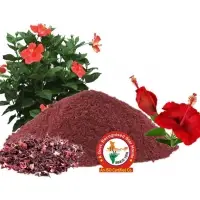 Hibiscus (Gudhal) Dry Extract