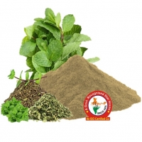 Pudina Dry Extract