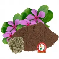 Sadabahar Dry Extract