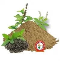 Tulsi Dry Extract (Purified)