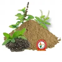 Tulsi Dry Extract