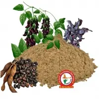 Mucuuna (Kaunch) Seed Dry Extract