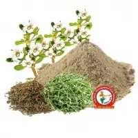 Brahmi Dry Extract