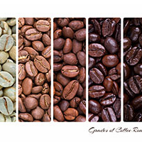 Roasted Coffee Bean