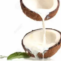 Instant Coconut Powder