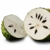 Frozen Soursop Pulp 181 kg