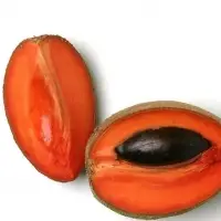 Fresh Sapodilla