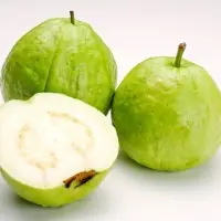 Fresh Guava