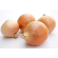 Red and White Onion