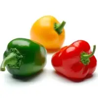Capsicum