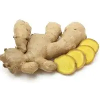 Ginger