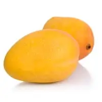 Ratnagiri Alphonso Mangoes