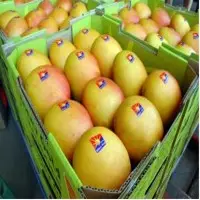 Mangoes