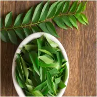 Fresh Curry Leaves