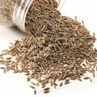Cumin Or Jeera