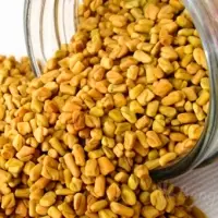 Fenugreek
