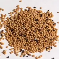 Mustard Seeds