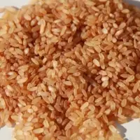 Matta Rice