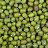 Green Gram