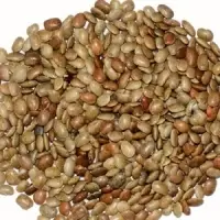 Horse Gram