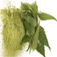 Neem Leaves Powder