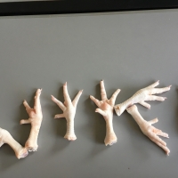 Chicken Feet