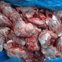 Rabbit Head
