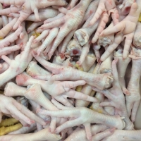 Chicken Feet B Grade