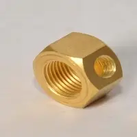 Brass Nuts