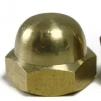 Oil Seal Brass Nuts