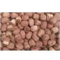 Red Lotus Seeds